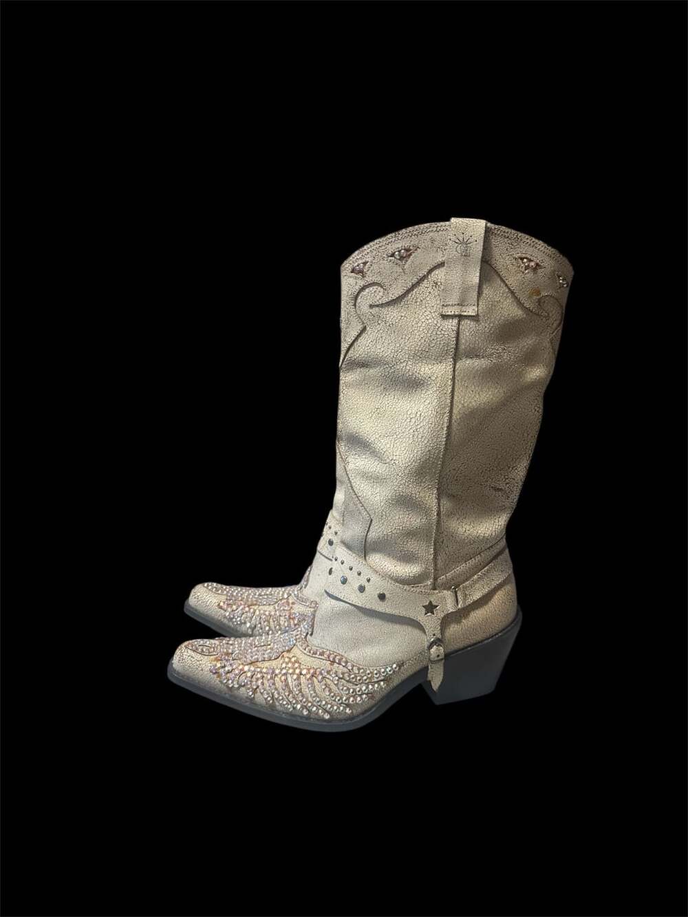 Coachella festival Stagecoach country Y2K western glam Distressed